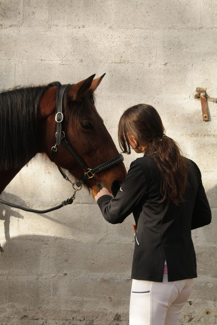 A teenage girl tenderly bonding with a horse outdoors, showcasing the connection between human and animal.