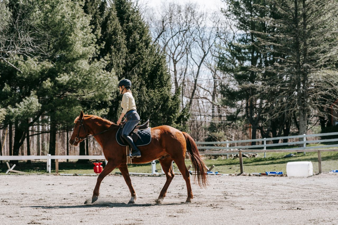 A woman engaged in horseback riding practice in a serene outdoor setting.