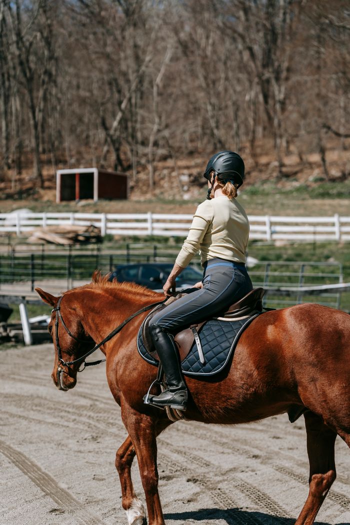 Lezione a cavallo per principianti a Copparo